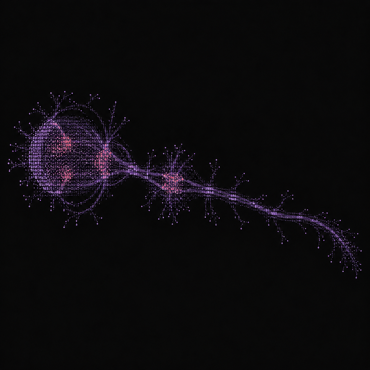 Ciona Larva connectome