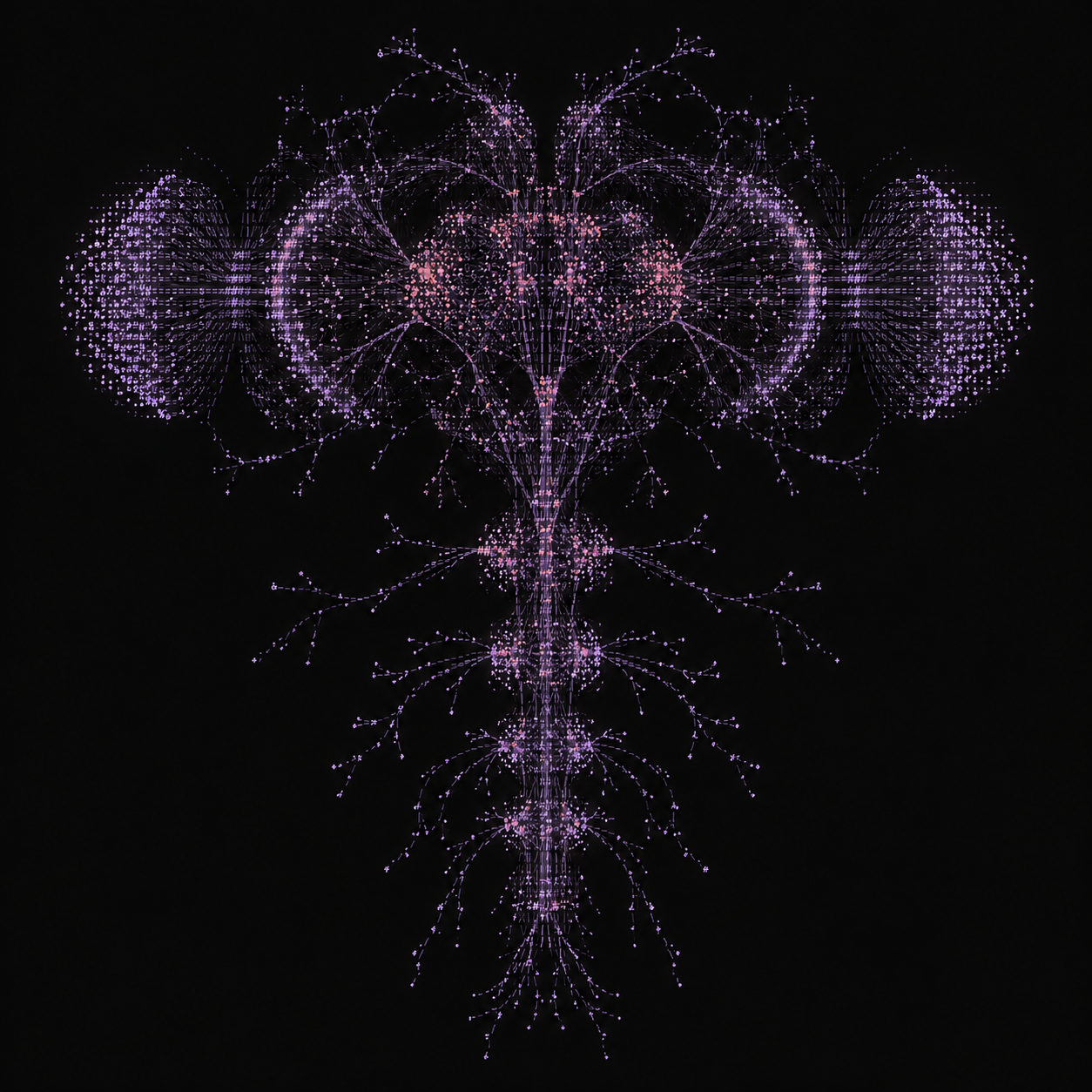 Fruit Fly connectome